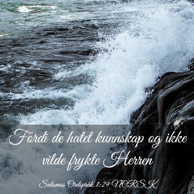 Picture 03 - Salomos Ordspråk 1:29 NORSK - Fordi de hatet kunnskap og ikke vilde frykte - Bible Verse Picture