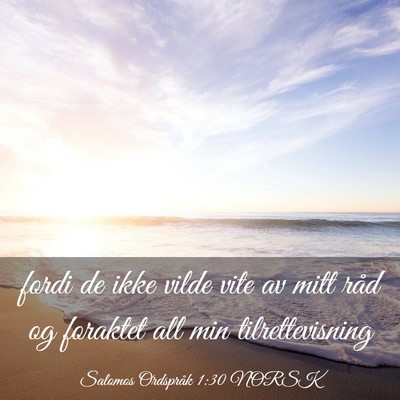 Picture 03 - Salomos Ordspråk 1:30 NORSK - fordi de ikke vilde vite av mitt råd og foraktet - Bible Verse Picture