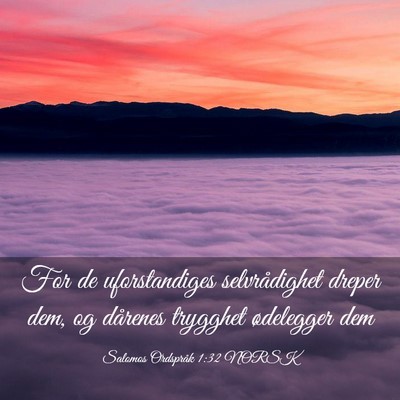 Picture 03 - Salomos Ordspråk 1:32 NORSK - For de uforstandiges selvrådighet dreper dem, og - Bible Verse Picture