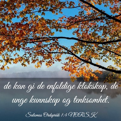 Picture 03 - Salomos Ordspråk 1:4 NORSK - de kan gi de enfoldige klokskap, de unge kunnskap - Bible Verse Picture