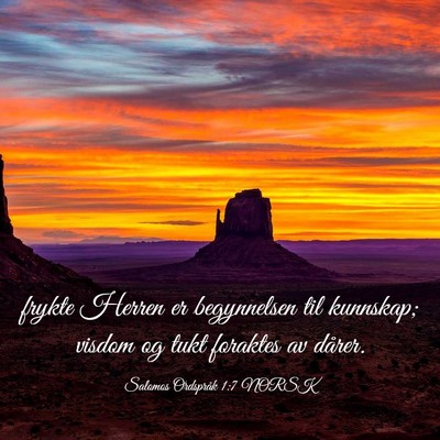 Picture 03 - Salomos Ordspråk 1:7 NORSK - frykte Herren er begynnelsen til kunnskap; visdom - Bible Verse Picture