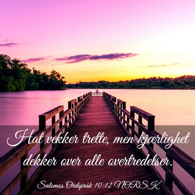 Picture 03 - Salomos Ordspråk 10:12 NORSK - Hat vekker trette, men kjærlighet dekker over - Bible Verse Picture