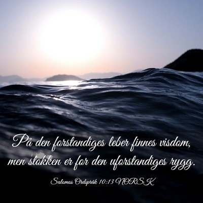 Picture 03 - Salomos Ordspråk 10:13 NORSK - På den forstandiges leber finnes visdom, men - Bible Verse Picture