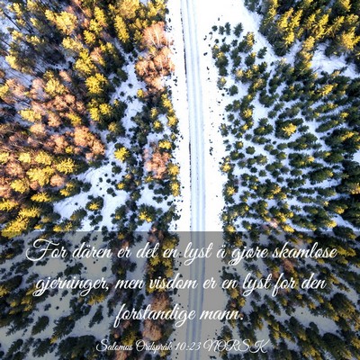 Picture 03 - Salomos Ordspråk 10:23 NORSK - For dåren er det en lyst å gjøre skamløse - Bible Verse Picture