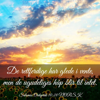 Picture 03 - Salomos Ordspråk 10:28 NORSK - De rettferdige har glede i vente, men de - Bible Verse Picture