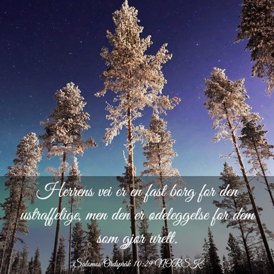 Picture 03 - Salomos Ordspråk 10:29 NORSK - Herrens vei er en fast borg for den ustraffelige, - Bible Verse Picture