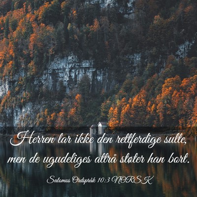 Picture 03 - Salomos Ordspråk 10:3 NORSK - Herren lar ikke den rettferdige sulte, men de - Bible Verse Picture