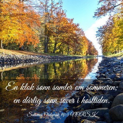 Picture 03 - Salomos Ordspråk 10:5 NORSK - En klok sønn samler om sommeren; en dårlig - Bible Verse Picture
