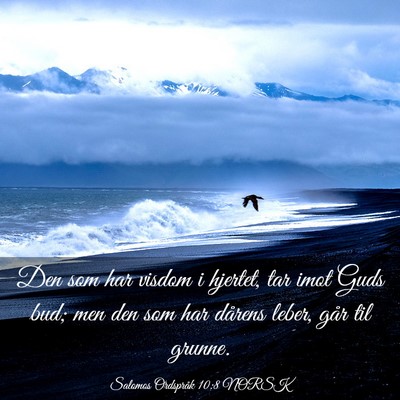 Picture 03 - Salomos Ordspråk 10:8 NORSK - Den som har visdom i hjertet, tar imot Guds bud; - Bible Verse Picture