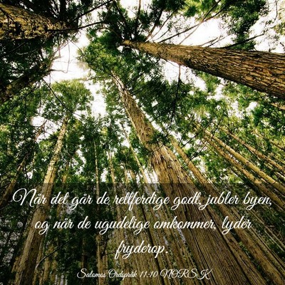 Picture 03 - Salomos Ordspråk 11:10 NORSK - Når det går de rettferdige godt, jubler byen, - Bible Verse Picture