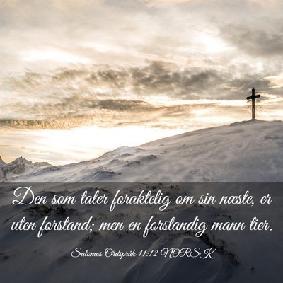 Picture 03 - Salomos Ordspråk 11:12 NORSK - Den som taler foraktelig om sin næste, er uten - Bible Verse Picture