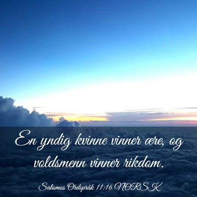 Picture 03 - Salomos Ordspråk 11:16 NORSK - En yndig kvinne vinner ære, og voldsmenn vinner - Bible Verse Picture