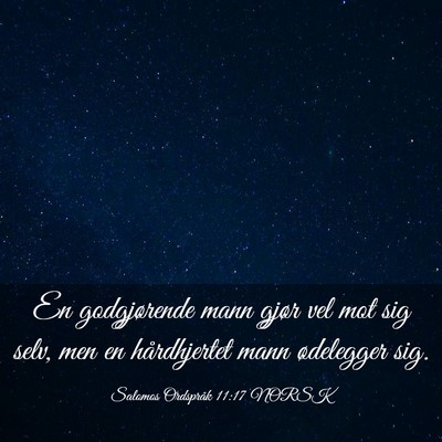 Picture 03 - Salomos Ordspråk 11:17 NORSK - En godgjørende mann gjør vel mot sig selv, men - Bible Verse Picture