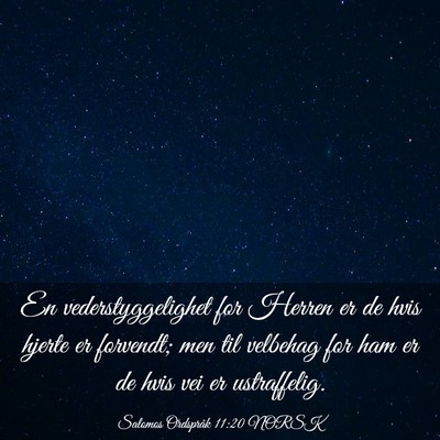 Picture 03 - Salomos Ordspråk 11:20 NORSK - En vederstyggelighet for Herren er de hvis hjerte - Bible Verse Picture