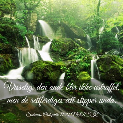 Picture 03 - Salomos Ordspråk 11:21 NORSK - Visselig, den onde blir ikke ustraffet, men de - Bible Verse Picture