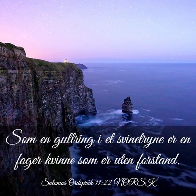 Picture 03 - Salomos Ordspråk 11:22 NORSK - Som en gullring i et svinetryne er en fager - Bible Verse Picture