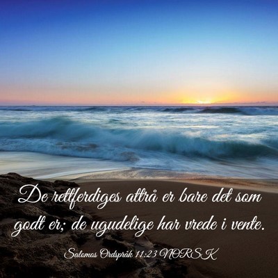 Picture 03 - Salomos Ordspråk 11:23 NORSK - De rettferdiges attrå er bare det som godt er; - Bible Verse Picture