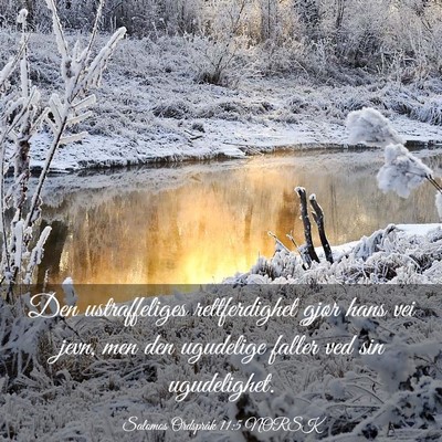 Picture 03 - Salomos Ordspråk 11:5 NORSK - Den ustraffeliges rettferdighet gjør hans vei - Bible Verse Picture