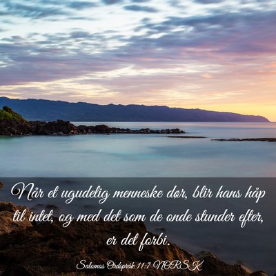 Picture 03 - Salomos Ordspråk 11:7 NORSK - Når et ugudelig menneske dør, blir hans håp - Bible Verse Picture