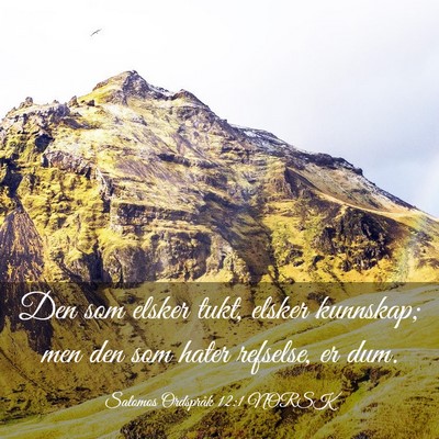 Picture 03 - Salomos Ordspråk 12:1 NORSK - Den som elsker tukt, elsker kunnskap; men den som - Bible Verse Picture
