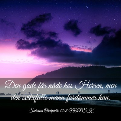 Picture 03 - Salomos Ordspråk 12:2 NORSK - Den gode får nåde hos Herren, men den - Bible Verse Picture
