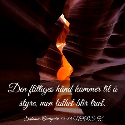 Picture 03 - Salomos Ordspråk 12:24 NORSK - Den flittiges hånd kommer til å styre, men - Bible Verse Picture