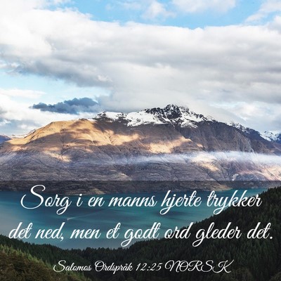 Picture 03 - Salomos Ordspråk 12:25 NORSK - Sorg i en manns hjerte trykker det ned, men et - Bible Verse Picture