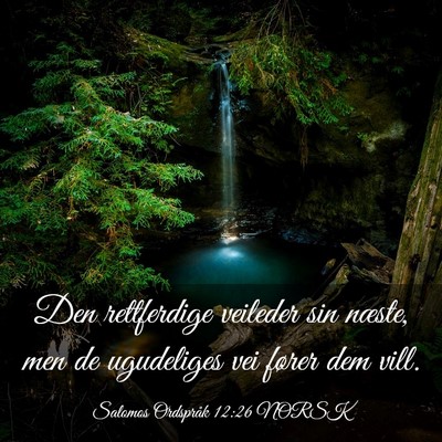 Picture 03 - Salomos Ordspråk 12:26 NORSK - Den rettferdige veileder sin næste, men de - Bible Verse Picture