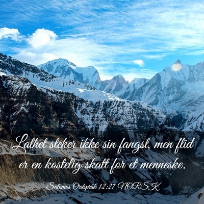Picture 03 - Salomos Ordspråk 12:27 NORSK - Lathet steker ikke sin fangst, men flid er en - Bible Verse Picture