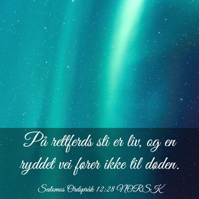 Picture 03 - Salomos Ordspråk 12:28 NORSK - På rettferds sti er liv, og en ryddet vei fører - Bible Verse Picture