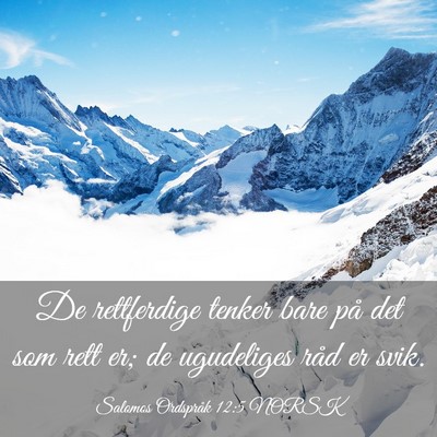 Picture 03 - Salomos Ordspråk 12:5 NORSK - De rettferdige tenker bare på det som rett er; - Bible Verse Picture
