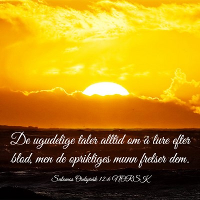 Picture 03 - Salomos Ordspråk 12:6 NORSK - De ugudelige taler alltid om å lure efter blod, - Bible Verse Picture