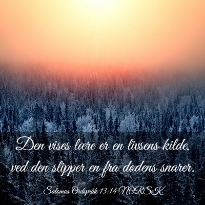 Picture 03 - Salomos Ordspråk 13:14 NORSK - Den vises lære er en livsens kilde, ved den - Bible Verse Picture
