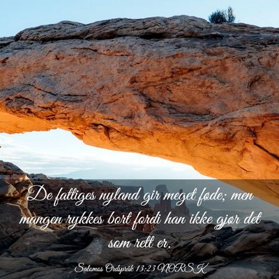 Picture 03 - Salomos Ordspråk 13:23 NORSK - De fattiges nyland gir meget føde; men mangen - Bible Verse Picture
