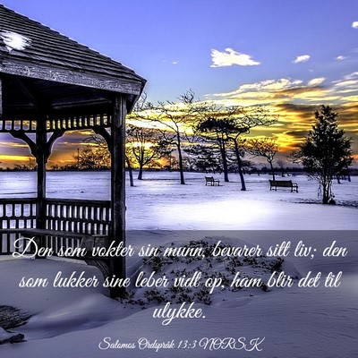 Picture 03 - Salomos Ordspråk 13:3 NORSK - Den som vokter sin munn, bevarer sitt liv; den - Bible Verse Picture