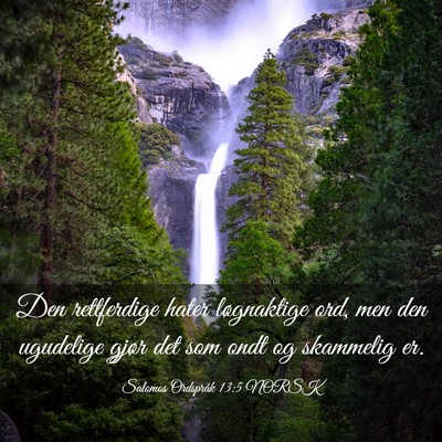 Picture 03 - Salomos Ordspråk 13:5 NORSK - Den rettferdige hater løgnaktige ord, men den - Bible Verse Picture