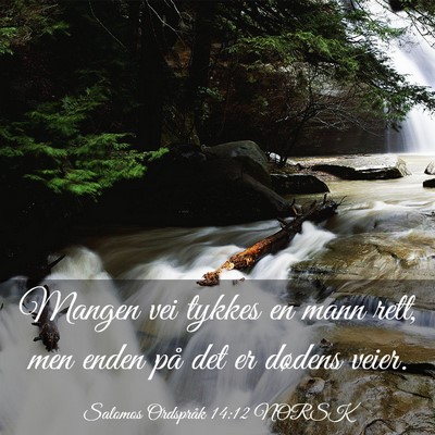 Picture 03 - Salomos Ordspråk 14:12 NORSK - Mangen vei tykkes en mann rett, men enden på det - Bible Verse Picture