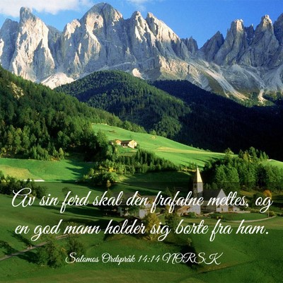 Picture 03 - Salomos Ordspråk 14:14 NORSK - Av sin ferd skal den frafalne mettes, og en god - Bible Verse Picture
