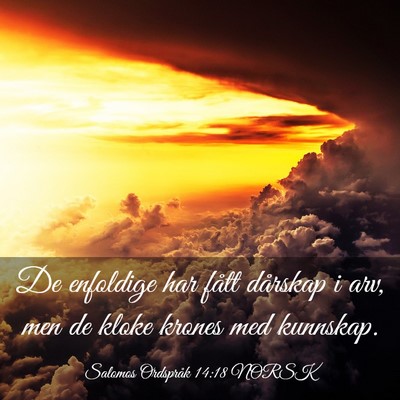 Picture 03 - Salomos Ordspråk 14:18 NORSK - De enfoldige har fått dårskap i arv, men de - Bible Verse Picture