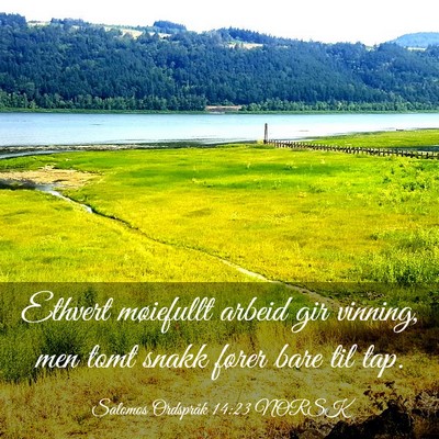 Picture 03 - Salomos Ordspråk 14:23 NORSK - Ethvert møiefullt arbeid gir vinning, men tomt - Bible Verse Picture