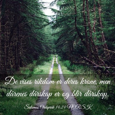 Picture 03 - Salomos Ordspråk 14:24 NORSK - De vises rikdom er deres krone, men dårenes - Bible Verse Picture