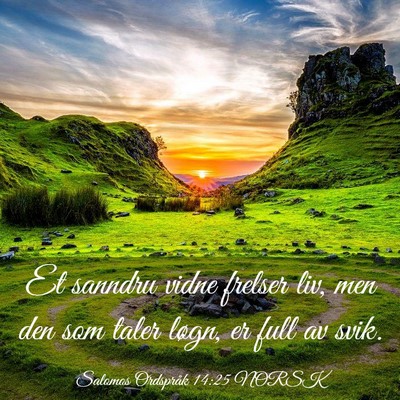 Picture 03 - Salomos Ordspråk 14:25 NORSK - Et sanndru vidne frelser liv, men den som taler - Bible Verse Picture