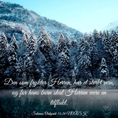 Picture 03 - Salomos Ordspråk 14:26 NORSK - Den som frykter Herren, har et sterkt vern, og - Bible Verse Picture