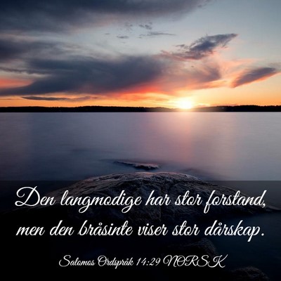 Picture 03 - Salomos Ordspråk 14:29 NORSK - Den langmodige har stor forstand, men den - Bible Verse Picture