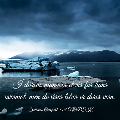 Picture 03 - Salomos Ordspråk 14:3 NORSK - I dårens munn er et ris for hans overmot, men de - Bible Verse Picture