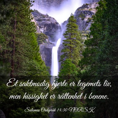 Picture 03 - Salomos Ordspråk 14:30 NORSK - Et saktmodig hjerte er legemets liv, men - Bible Verse Picture