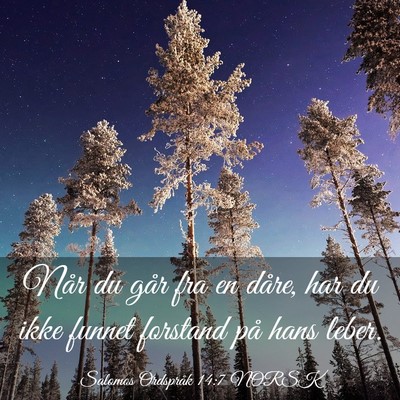Picture 03 - Salomos Ordspråk 14:7 NORSK - Når du går fra en dåre, har du ikke funnet - Bible Verse Picture