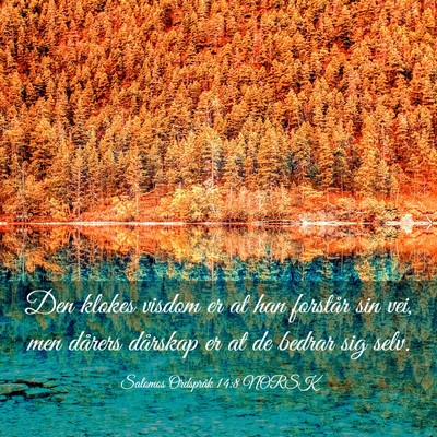 Picture 03 - Salomos Ordspråk 14:8 NORSK - Den klokes visdom er at han forstår sin vei, men - Bible Verse Picture