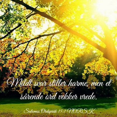Picture 03 - Salomos Ordspråk 15:1 NORSK - Mildt svar stiller harme, men et sårende ord - Bible Verse Picture