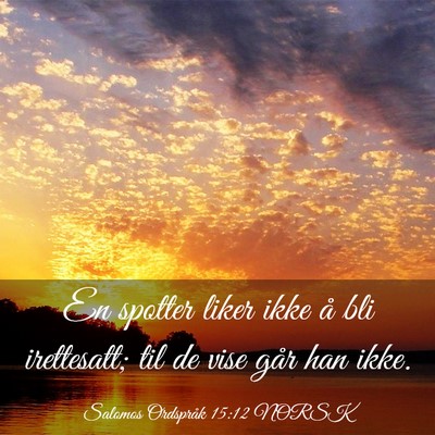 Picture 03 - Salomos Ordspråk 15:12 NORSK - En spotter liker ikke å bli irettesatt; til de - Bible Verse Picture